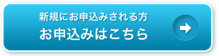 �V�K�ɂ��\���݂��������\���݂͂�����